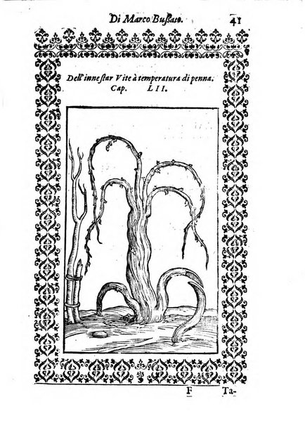 Giardino di agricoltura di Marco Bussato da Rauenna nel quale, con bellissimo ordine, si tratta di tutto quello, che s'appartiene à sapere à vn perfetto giardiniero: e s'insegna per pratica la vera maniera di piantare, & incalmare arbori e viti di tutte le sorti, & i varij e diuersi modi ch'in ciò si tengono. Dimostrandoli oltra che con i ragionamenti, anco con appropriati disegni ...