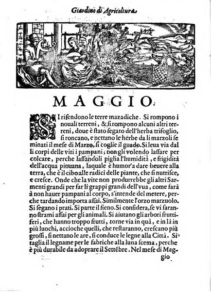 Giardino di agricoltura di Marco Bussato da Rauenna nel quale, con bellissimo ordine, si tratta di tutto quello, che s'appartiene à sapere à vn perfetto giardiniero: e s'insegna per pratica la vera maniera di piantare, & incalmare arbori e viti di tutte le sorti, & i varij e diuersi modi ch'in ciò si tengono. Dimostrandoli oltra che con i ragionamenti, anco con appropriati disegni ...