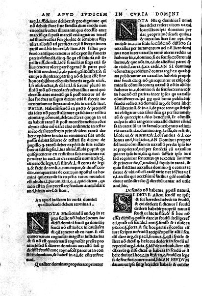 Excellentissimi iurisconsulti Paridis a Puteo. ... Tractatus insignis, de reintegratione feudorum De finibus & modo decidendi questiones confinium territoriorum De verborum significatione in materia reintegrationis & in Andree de Insernia scriptis breue compendium Vna cum Praxis reintegrationis hactenus nunque impressus sed nunc primum lucem editus ... Nuperrime castigatum, cum summariis, singulis capitibus prepositis, & repertorio copiosissimo, singulares & precipuas materias complectentibus ...