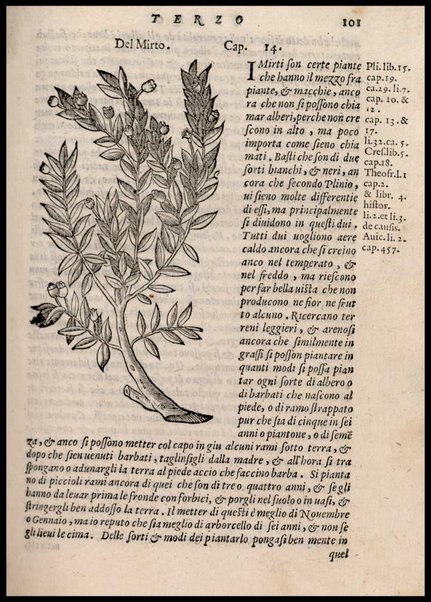 Agricoltura tratta da diuersi antichi et moderni scrittori dal sig. Gabriello Alfonso d'Herrera et tradotta di lingua spagnuola in volgare italiano da Mambrino Roseo da Fabriano. Nella quale si contengono le regole, i modi, & l'usanze che si osseruano nell'arare la terra, piantar le uigne & gli alberi, gouernare i bestiami, & fare ottimamente cioche all'agricoltura s'appartiene. Con le figure de gli alberi & delle herbe, delle quali si tratta nel libro