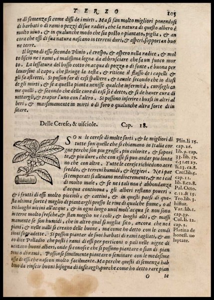 Agricoltura tratta da diuersi antichi et moderni scrittori dal sig. Gabriello Alfonso d'Herrera et tradotta di lingua spagnuola in volgare italiano da Mambrino Roseo da Fabriano. Nella quale si contengono le regole, i modi, & l'usanze che si osseruano nell'arare la terra, piantar le uigne & gli alberi, gouernare i bestiami, & fare ottimamente cioche all'agricoltura s'appartiene. Con le figure de gli alberi & delle herbe, delle quali si tratta nel libro