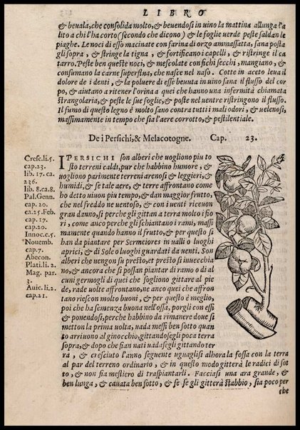 Agricoltura tratta da diuersi antichi et moderni scrittori dal sig. Gabriello Alfonso d'Herrera et tradotta di lingua spagnuola in volgare italiano da Mambrino Roseo da Fabriano. Nella quale si contengono le regole, i modi, & l'usanze che si osseruano nell'arare la terra, piantar le uigne & gli alberi, gouernare i bestiami, & fare ottimamente cioche all'agricoltura s'appartiene. Con le figure de gli alberi & delle herbe, delle quali si tratta nel libro