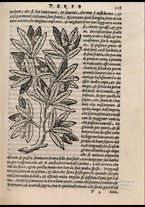 libroantico/BVEE004071/00000248