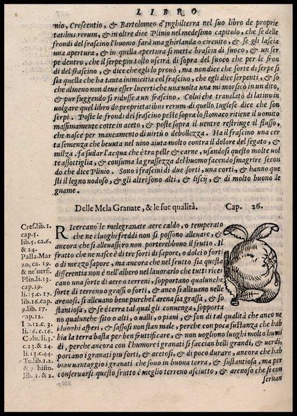 Agricoltura tratta da diuersi antichi et moderni scrittori dal sig. Gabriello Alfonso d'Herrera et tradotta di lingua spagnuola in volgare italiano da Mambrino Roseo da Fabriano. Nella quale si contengono le regole, i modi, & l'usanze che si osseruano nell'arare la terra, piantar le uigne & gli alberi, gouernare i bestiami, & fare ottimamente cioche all'agricoltura s'appartiene. Con le figure de gli alberi & delle herbe, delle quali si tratta nel libro