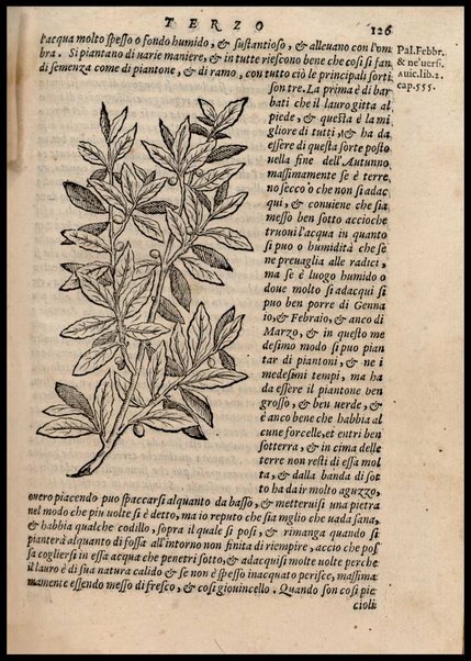 Agricoltura tratta da diuersi antichi et moderni scrittori dal sig. Gabriello Alfonso d'Herrera et tradotta di lingua spagnuola in volgare italiano da Mambrino Roseo da Fabriano. Nella quale si contengono le regole, i modi, & l'usanze che si osseruano nell'arare la terra, piantar le uigne & gli alberi, gouernare i bestiami, & fare ottimamente cioche all'agricoltura s'appartiene. Con le figure de gli alberi & delle herbe, delle quali si tratta nel libro