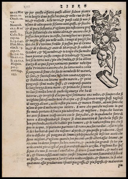 Agricoltura tratta da diuersi antichi et moderni scrittori dal sig. Gabriello Alfonso d'Herrera et tradotta di lingua spagnuola in volgare italiano da Mambrino Roseo da Fabriano. Nella quale si contengono le regole, i modi, & l'usanze che si osseruano nell'arare la terra, piantar le uigne & gli alberi, gouernare i bestiami, & fare ottimamente cioche all'agricoltura s'appartiene. Con le figure de gli alberi & delle herbe, delle quali si tratta nel libro