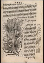 libroantico/BVEE004071/00000324