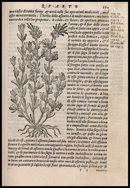 Agricoltura tratta da diuersi antichi et moderni scrittori dal sig. Gabriello Alfonso d'Herrera et tradotta di lingua spagnuola in volgare italiano da Mambrino Roseo da Fabriano. Nella quale si contengono le regole, i modi, & l'usanze che si osseruano nell'arare la terra, piantar le uigne & gli alberi, gouernare i bestiami, & fare ottimamente cioche all'agricoltura s'appartiene. Con le figure de gli alberi & delle herbe, delle quali si tratta nel libro