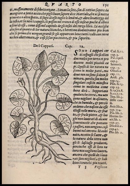 Agricoltura tratta da diuersi antichi et moderni scrittori dal sig. Gabriello Alfonso d'Herrera et tradotta di lingua spagnuola in volgare italiano da Mambrino Roseo da Fabriano. Nella quale si contengono le regole, i modi, & l'usanze che si osseruano nell'arare la terra, piantar le uigne & gli alberi, gouernare i bestiami, & fare ottimamente cioche all'agricoltura s'appartiene. Con le figure de gli alberi & delle herbe, delle quali si tratta nel libro