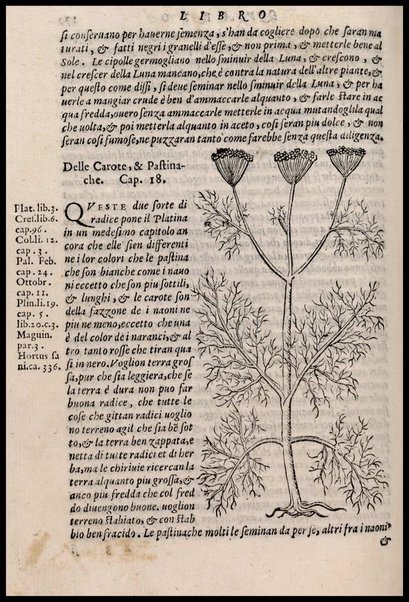 Agricoltura tratta da diuersi antichi et moderni scrittori dal sig. Gabriello Alfonso d'Herrera et tradotta di lingua spagnuola in volgare italiano da Mambrino Roseo da Fabriano. Nella quale si contengono le regole, i modi, & l'usanze che si osseruano nell'arare la terra, piantar le uigne & gli alberi, gouernare i bestiami, & fare ottimamente cioche all'agricoltura s'appartiene. Con le figure de gli alberi & delle herbe, delle quali si tratta nel libro