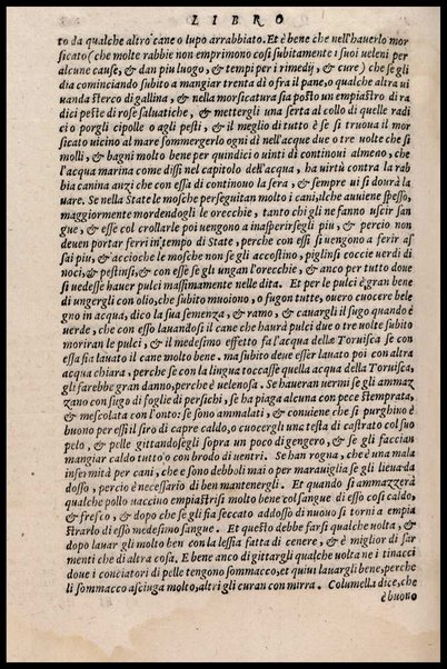 Agricoltura tratta da diuersi antichi et moderni scrittori dal sig. Gabriello Alfonso d'Herrera et tradotta di lingua spagnuola in volgare italiano da Mambrino Roseo da Fabriano. Nella quale si contengono le regole, i modi, & l'usanze che si osseruano nell'arare la terra, piantar le uigne & gli alberi, gouernare i bestiami, & fare ottimamente cioche all'agricoltura s'appartiene. Con le figure de gli alberi & delle herbe, delle quali si tratta nel libro