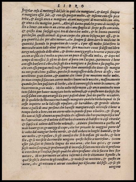 Agricoltura tratta da diuersi antichi et moderni scrittori dal sig. Gabriello Alfonso d'Herrera et tradotta di lingua spagnuola in volgare italiano da Mambrino Roseo da Fabriano. Nella quale si contengono le regole, i modi, & l'usanze che si osseruano nell'arare la terra, piantar le uigne & gli alberi, gouernare i bestiami, & fare ottimamente cioche all'agricoltura s'appartiene. Con le figure de gli alberi & delle herbe, delle quali si tratta nel libro