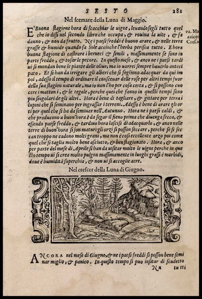 Agricoltura tratta da diuersi antichi et moderni scrittori dal sig. Gabriello Alfonso d'Herrera et tradotta di lingua spagnuola in volgare italiano da Mambrino Roseo da Fabriano. Nella quale si contengono le regole, i modi, & l'usanze che si osseruano nell'arare la terra, piantar le uigne & gli alberi, gouernare i bestiami, & fare ottimamente cioche all'agricoltura s'appartiene. Con le figure de gli alberi & delle herbe, delle quali si tratta nel libro