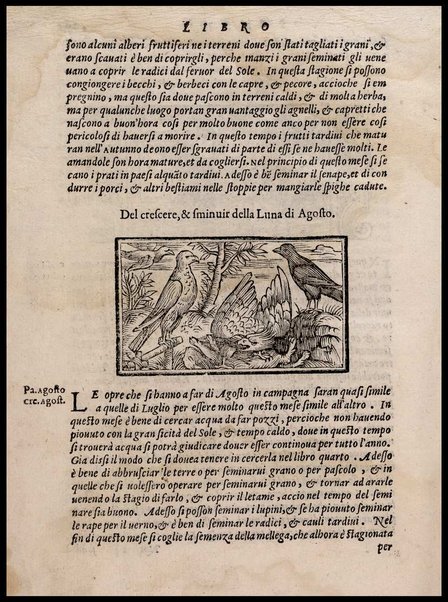 Agricoltura tratta da diuersi antichi et moderni scrittori dal sig. Gabriello Alfonso d'Herrera et tradotta di lingua spagnuola in volgare italiano da Mambrino Roseo da Fabriano. Nella quale si contengono le regole, i modi, & l'usanze che si osseruano nell'arare la terra, piantar le uigne & gli alberi, gouernare i bestiami, & fare ottimamente cioche all'agricoltura s'appartiene. Con le figure de gli alberi & delle herbe, delle quali si tratta nel libro