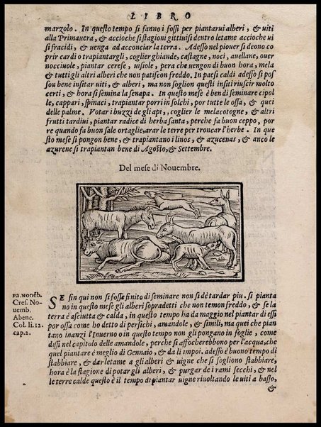 Agricoltura tratta da diuersi antichi et moderni scrittori dal sig. Gabriello Alfonso d'Herrera et tradotta di lingua spagnuola in volgare italiano da Mambrino Roseo da Fabriano. Nella quale si contengono le regole, i modi, & l'usanze che si osseruano nell'arare la terra, piantar le uigne & gli alberi, gouernare i bestiami, & fare ottimamente cioche all'agricoltura s'appartiene. Con le figure de gli alberi & delle herbe, delle quali si tratta nel libro