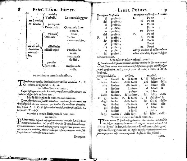 Institutionum Florentinae linguae libri duo Euphrosyni Lapinij ...