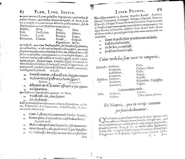 Institutionum Florentinae linguae libri duo Euphrosyni Lapinij ...