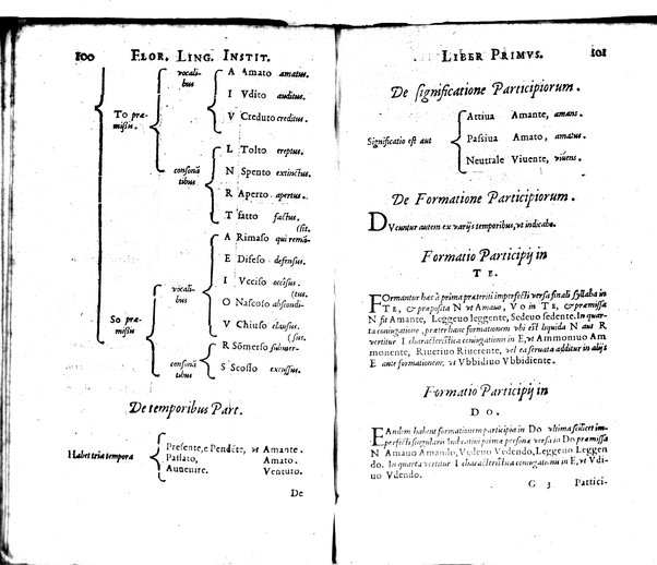 Institutionum Florentinae linguae libri duo Euphrosyni Lapinij ...