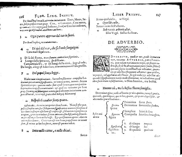 Institutionum Florentinae linguae libri duo Euphrosyni Lapinij ...