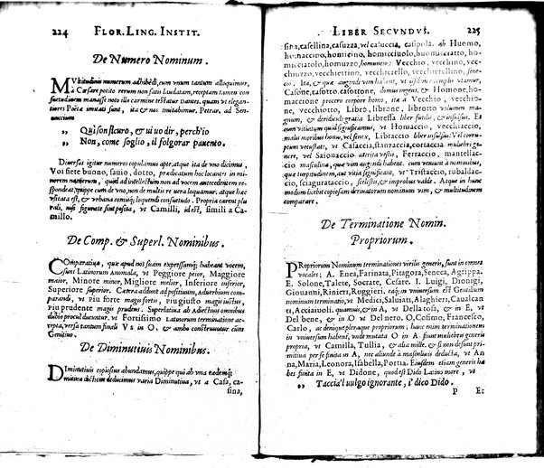 Institutionum Florentinae linguae libri duo Euphrosyni Lapinij ...