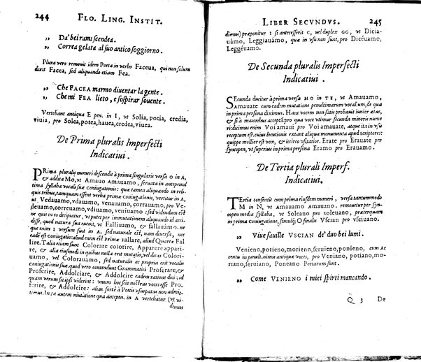 Institutionum Florentinae linguae libri duo Euphrosyni Lapinij ...