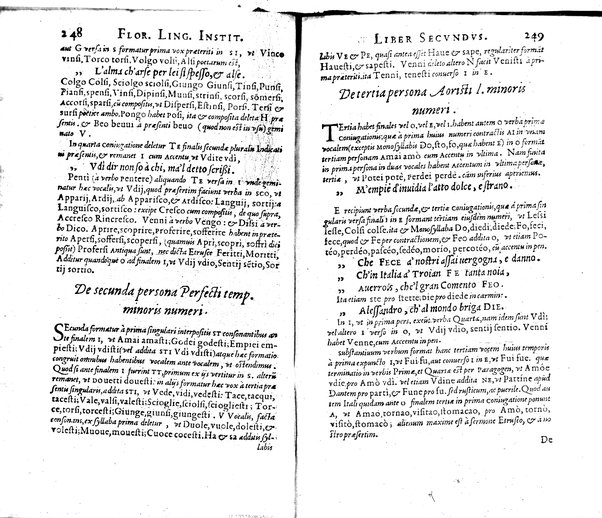 Institutionum Florentinae linguae libri duo Euphrosyni Lapinij ...