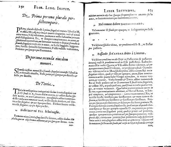 Institutionum Florentinae linguae libri duo Euphrosyni Lapinij ...