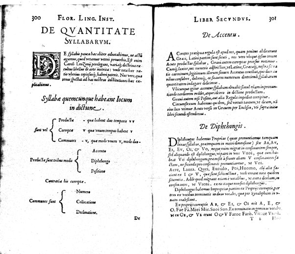 Institutionum Florentinae linguae libri duo Euphrosyni Lapinij ...