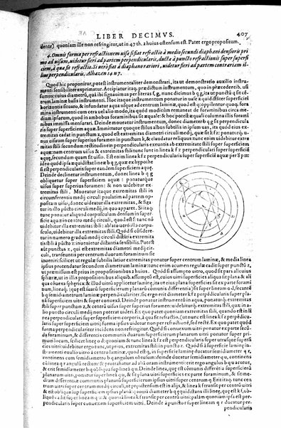 Opticae thesaurus. Alhazeni Arabis libri septem, nunc primùm editi. Eiusdem liber De crepusculis & nubium ascensionibus. Item Vitellonis Thuringolopoli libri 10. Omnes instaurati, figuris illustrati & aucti, adiecti etiam in Alhazenum commentarijs, a Federico Risnero