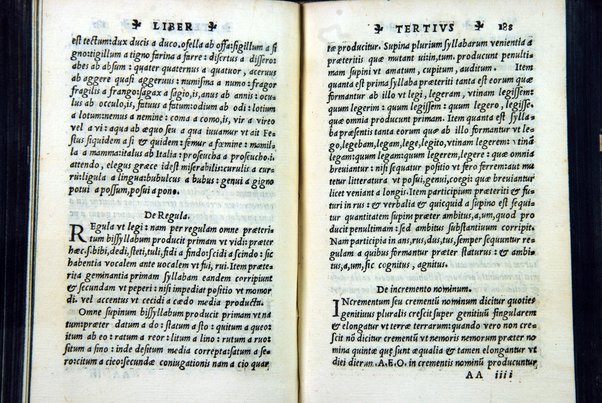 Francisci Pharaoni De re literaria benemerentis institutiones grammaticae, denuo ex manuscripti codicis fide recognitae, ... Cum illustrium dictionum indice. Eiusdem Libellus metricae artis. Haec denuo sunt addita. Eiusdem Pharaonij vita ... Marci Panclareni Basilij Siculi Mamertini. De numeroso heroici carminis artificio compendiaria institutio. In calce operis