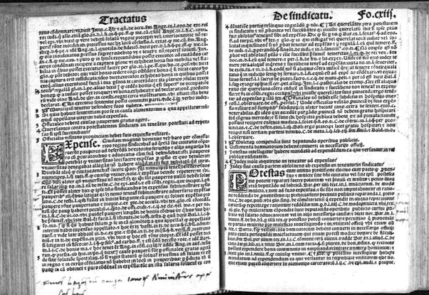 Paris de Puteo De sindicatu: Excellentissimi ac doctissimi Iuris vtriusque doctoris maximique practici domini Paridis de Pueto Neapolitani In materia sindicatus omnium officialium Tractatus vna cum apostillis domini Benedicti Vadi forosemproniensis in margine appositis: & Tabula eiusdem domini Benedicti recenter edita. Adiecta sunt etiam nonnulla summaria valde vtilia (que in alijs exemplaribus antea impressis non reperies) principales materias amplectentia.