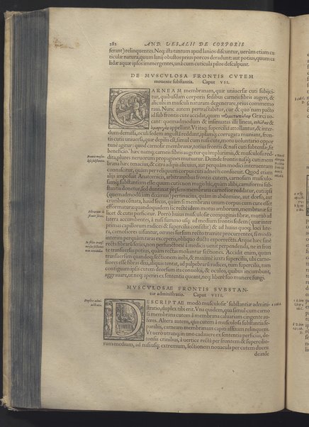 Andreae Vesalii Bruxellensis, ... De humani corporis fabrica libri septem