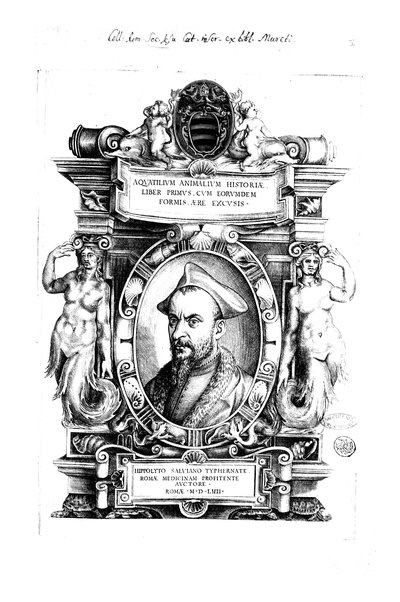 Aquatilium animalium historiæ, liber primus, cum eorundem formis, ære excusis. Hippolyto Saluiano ... auctore