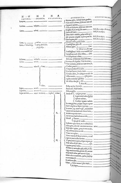 Aquatilium animalium historiæ, liber primus, cum eorundem formis, ære excusis. Hippolyto Saluiano ... auctore