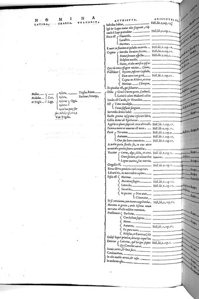 Aquatilium animalium historiæ, liber primus, cum eorundem formis, ære excusis. Hippolyto Saluiano ... auctore