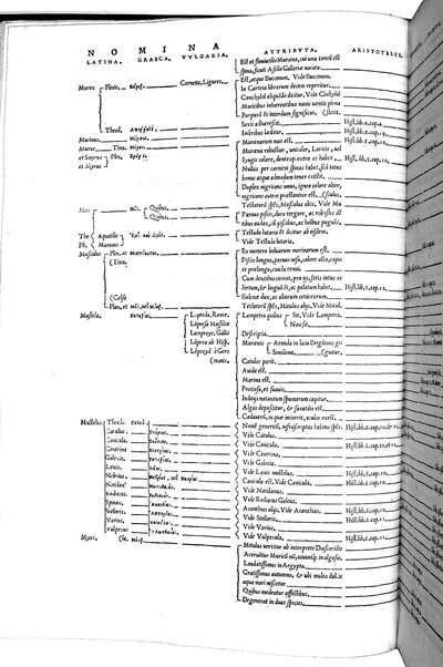 Aquatilium animalium historiæ, liber primus, cum eorundem formis, ære excusis. Hippolyto Saluiano ... auctore