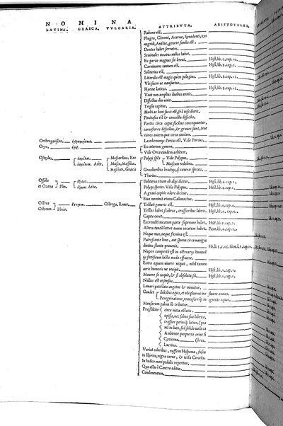 Aquatilium animalium historiæ, liber primus, cum eorundem formis, ære excusis. Hippolyto Saluiano ... auctore
