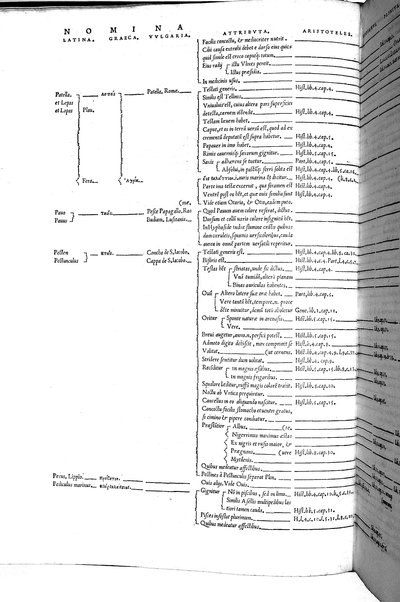 Aquatilium animalium historiæ, liber primus, cum eorundem formis, ære excusis. Hippolyto Saluiano ... auctore