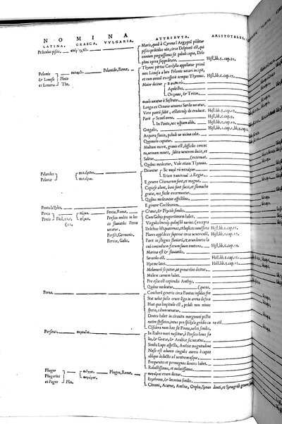 Aquatilium animalium historiæ, liber primus, cum eorundem formis, ære excusis. Hippolyto Saluiano ... auctore