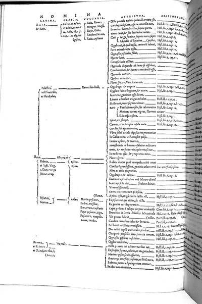 Aquatilium animalium historiæ, liber primus, cum eorundem formis, ære excusis. Hippolyto Saluiano ... auctore