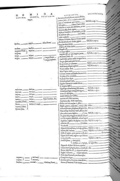 Aquatilium animalium historiæ, liber primus, cum eorundem formis, ære excusis. Hippolyto Saluiano ... auctore