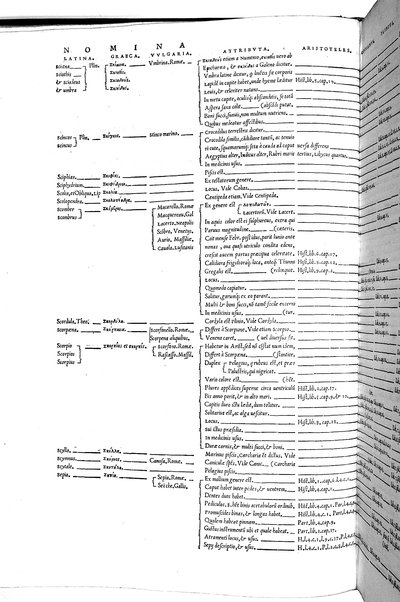 Aquatilium animalium historiæ, liber primus, cum eorundem formis, ære excusis. Hippolyto Saluiano ... auctore