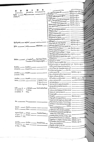 Aquatilium animalium historiæ, liber primus, cum eorundem formis, ære excusis. Hippolyto Saluiano ... auctore