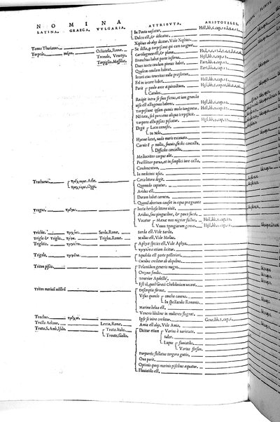 Aquatilium animalium historiæ, liber primus, cum eorundem formis, ære excusis. Hippolyto Saluiano ... auctore