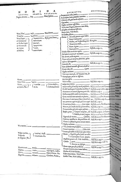 Aquatilium animalium historiæ, liber primus, cum eorundem formis, ære excusis. Hippolyto Saluiano ... auctore