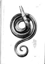 libroantico/BVEE009093/0128