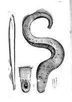 libroantico/BVEE009093/0137