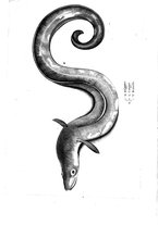 libroantico/BVEE009093/0145