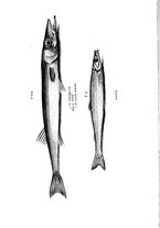 libroantico/BVEE009093/0151