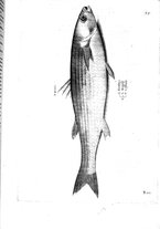 libroantico/BVEE009093/0162